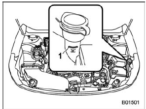 Windshield washer fluid 