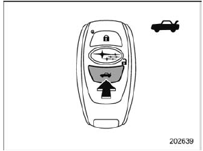 Power rear gate button on the access key