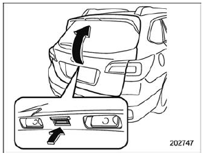 Rear gate opener button