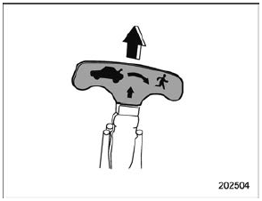 Internal trunk lid release handle