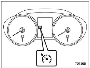 Cruise control indicator