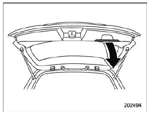 Manual rear gate (if equipped) 
